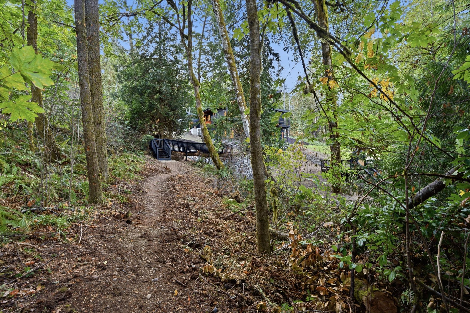 The Walking Trail